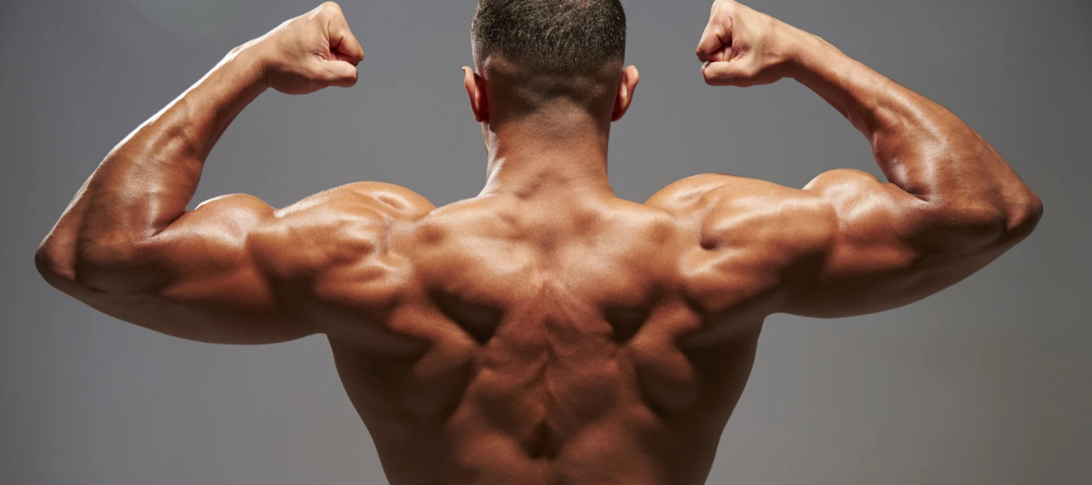 De Ultieme Rugdag in de Gym: Zo Krijg Je een Brede en Sterke Rug