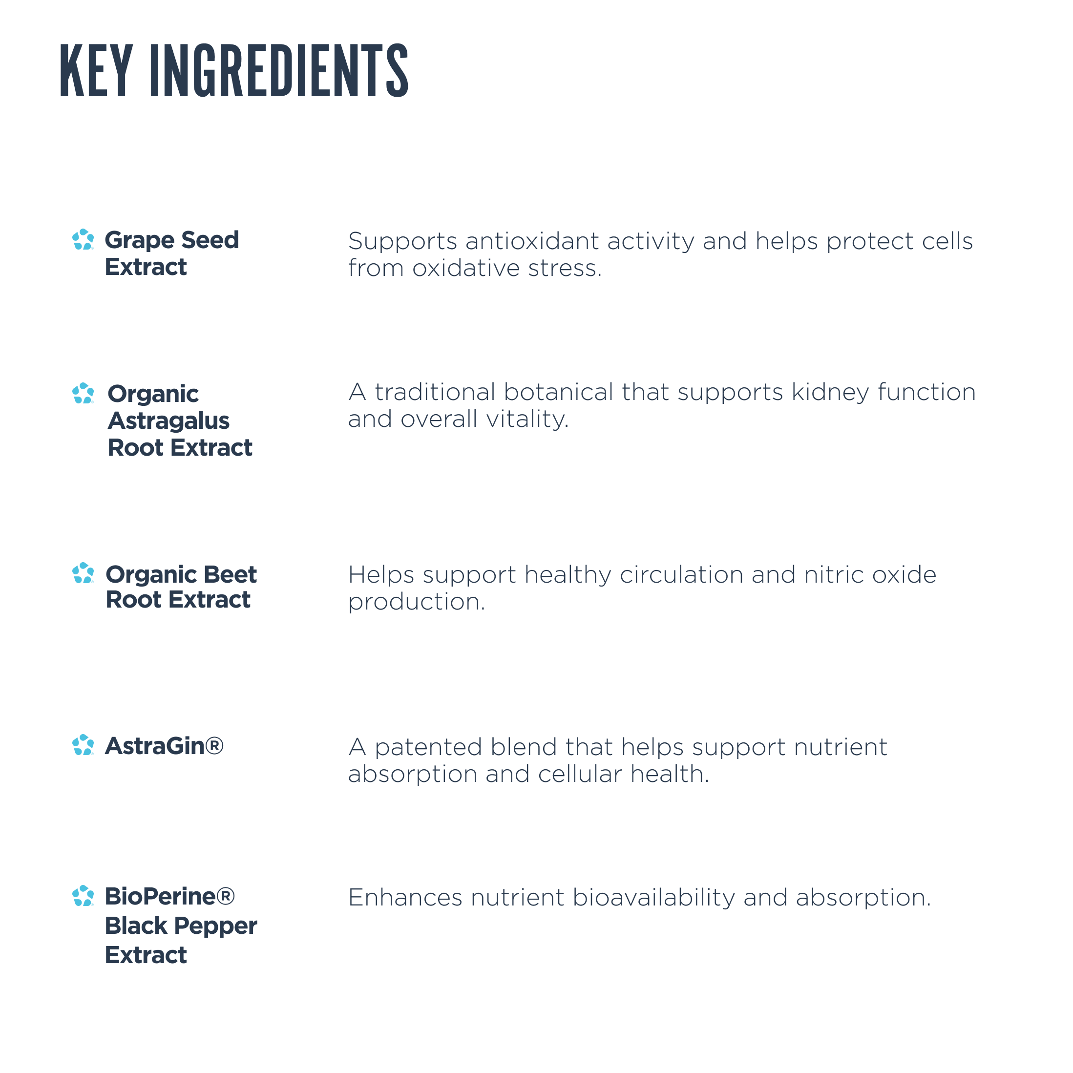 Revive MD Kidney Support - Belangrijkste ingredienten