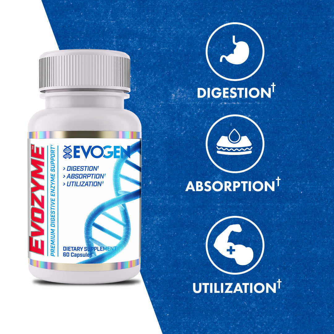 Evozyme - PREMIUM DIGESTIVE 